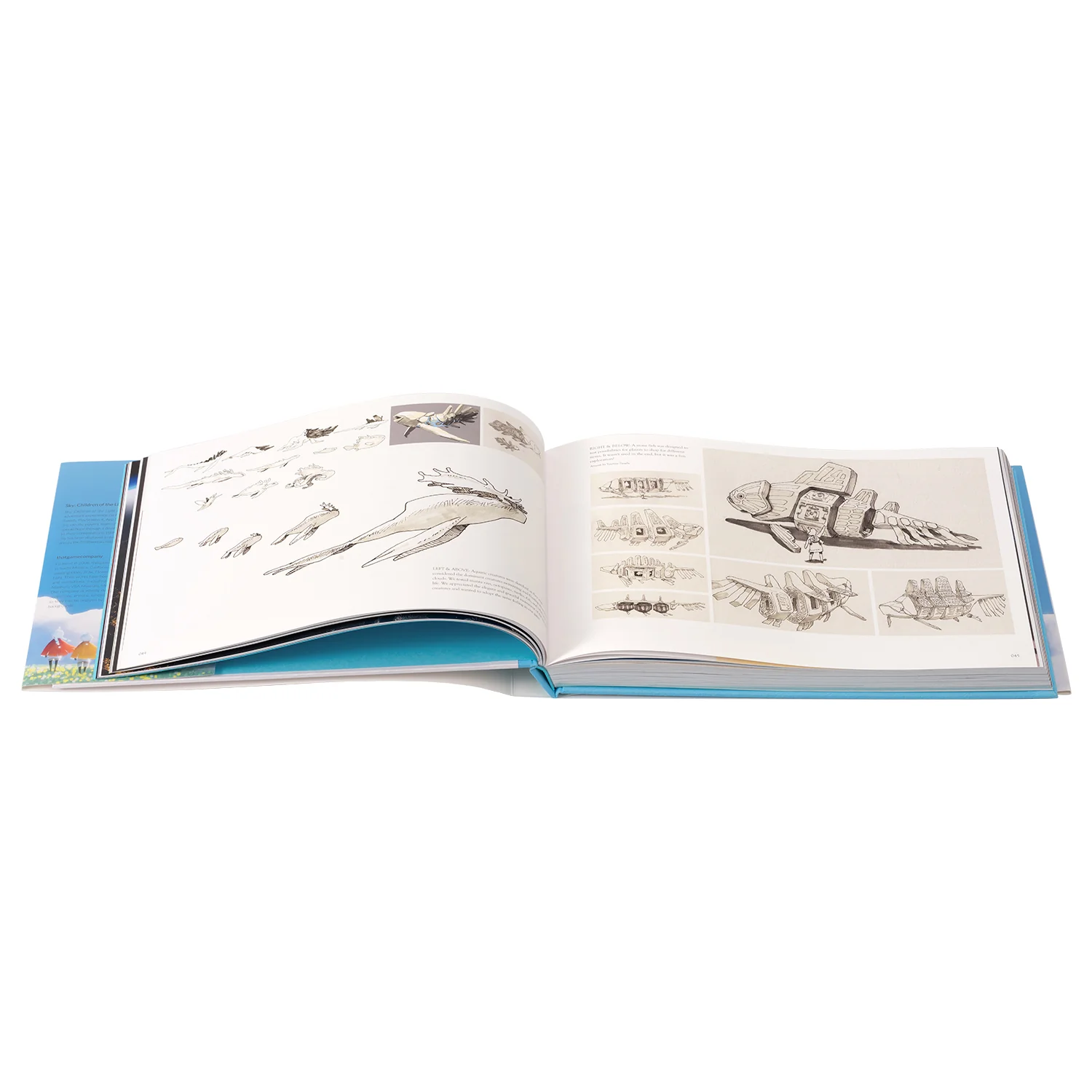 The Art of Sky - Image 12